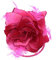Zac's Alter Ego Rosa per capelli glitterata con piume su clip ed elastico, accessorio per capelli o corpetto, Fucsia bicolore, 1 count (Pack of 1)