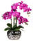 DAHLIASTUDIOS Kunstpflanze Orchidee Phalaenopsis mit Silber-farbigem Keramiktopf - ca. 53cm hoch (pink)