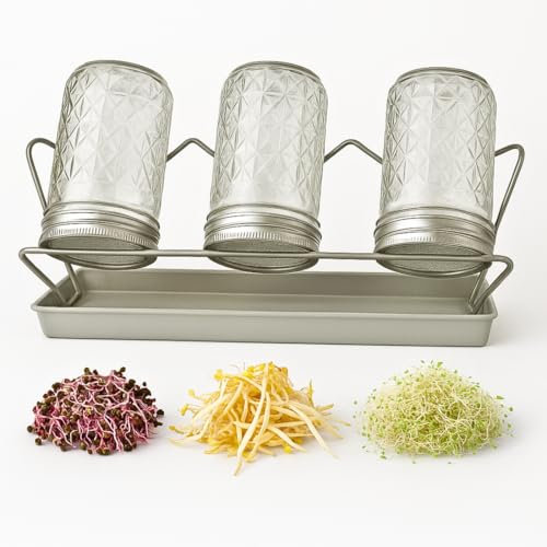 SPROUTATION Sprossenglas 3er Set – hochwertiges Sprossenglas/Keimglas mit Diamantschliff, rostfreier Edelstahl-Siebdeckel, Abtropfgestell und Abtropfwanne – paralleles Anzuchtset für Sprossensamen.