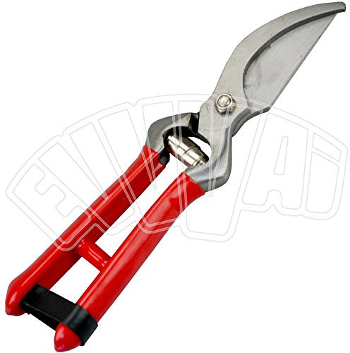 FORBICE VIGNA CM 23 PUTIGNANO POTA TAGLIAUVA PER VENDEMMIA VITE VINO ENOLOGIA