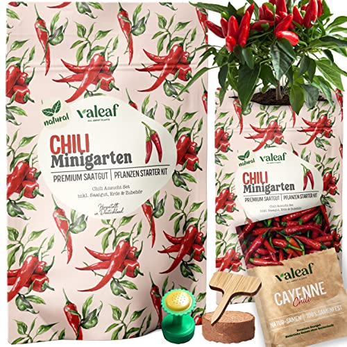 valeaf Chili Anzuchtset I Mini Chili Starter Kit I Chili Samen Anzucht Set I Chili Set m. Cayenne Chili Samen I Chili Samen Set zur Chili Anzucht (Chili Cayenne)