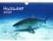 Haizauber DIN A4 Kalender für 2024 Hai Unterwasser Tauchen - Seelenzauber