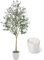 CQURE180CM Artificial Olive Tree, Tall Faux Plant Indoor Potted With Natural Wood Trunk and Lifelike Fruits for Home Office Living Room Decor (Includes White Pot)