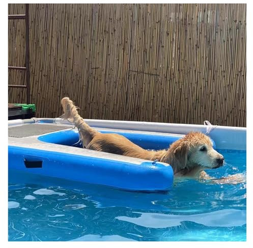 Hundebadeleiter Faltbare Rampen für Hundepools See/ Anlegestelle/ Boot/ Meer schwimmender Hundebadeleiter Rutschfeste EVA-Liegeplattform für Hunde bis 60 kg Einfach aufzublasen und zu entleeren(Blue,1