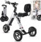Lightweight Electric Tricycle with Removable 36v 8ah Battery, Electric Tricycle for Adults with Backrest Seat, Reverse Function and Key Switch, for Commuting, Travel