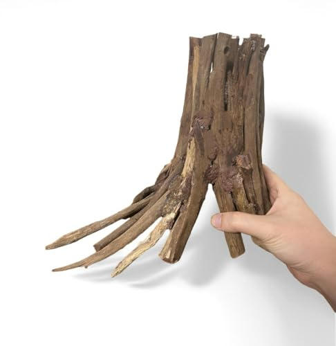 AWXZOM 10inch Aquarium Tree Stump Handcrafted 10inch Height Driftwood Bonsai aquascaping Wood Aquarium Landscape Tree Stump Fish Tank hardscape aquascape