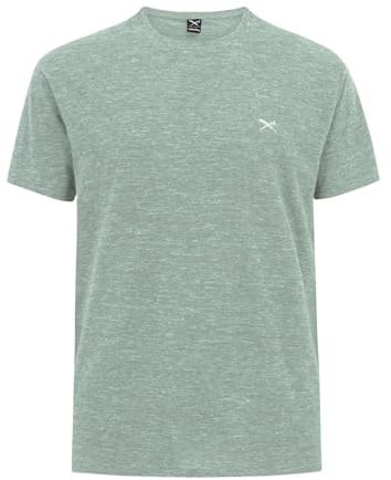 IRIEDAILY Herren T-Shirt CHAMISSO Regular Fit M mintgrey