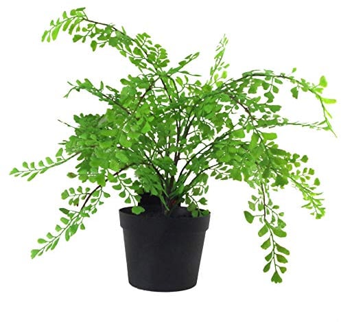 Leaf Artificial Plant with Pot, Maidenhair Fern, 35cm
