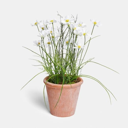 Loberon Deko-Topfpflanze Harmoise - Täuschend Echte Margariten - inkl. Topf - Filigrane Blüten - Kunstpflanze - Kunstblume - Eisendraht - Polyethylen, weiß/grün/gelb