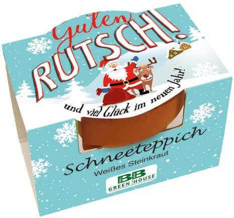 Bull & Bear Mini Pflanzset 'Guten Rutsch' mit Schneeteppich Samen im Topf 4,5cm, weißes Steinkraut Anzuchtset mit Pflegeanleitung