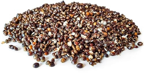 Tigernuessekaufen.de Hanfsamen Angelfertig 5KG | Karpfen Futter