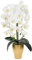 TreesHouse Premium Künstliche Orchidee XL (ca. 60cm) I Wie Echt I Blumen Deko I Im Topf I Hergestellt in der EU I 2 Stängel - 18 Blüten I Weiß (Moss)