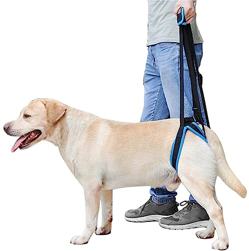 MIGHTYDUTY Tragehilfe Hund Hinterbeine rüde Weibchen Tragbar Einstellbar Bietet Unterstützung Hilft Hunden mit Schwachen Hinterbeinen, Fortgeschrittenem Alter, Verletzungen, Behinderungen L