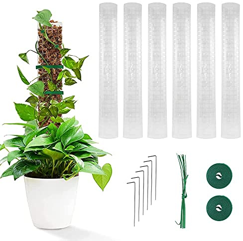 Qivine Moosstab für Monstera, 6 Stück Kletterhilfe Rankhilfe Zimmerpflanzen, Erweiterbar Pflanzenstütze Pflanzen Stütze mit Erdspieße, Transparent Rankhilfe Monstera mit Klett