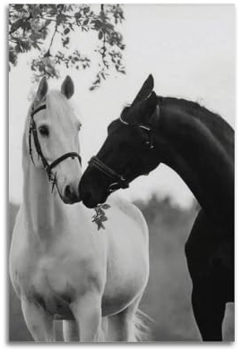 jocrynsi Tierposter – schwarze und weiße Pferde-Poster, ästhetischer Leinwand-Kunstdruck, Heimdekoration für Schlafzimmer, Wohnzimmer, 30 x 45 cm, ungerahmter Stil
