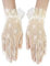 CHIC DIARY Handschuh Spitze Damen Brauthandschuh Beige Netzhandschuhe Kurz Spitzenhandschuhe Hochzeit Abendkleid Party