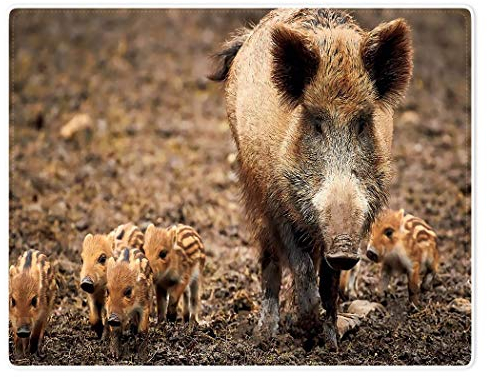 YISUMEI Tiermotiv Kuscheldecke Wildschwein Weich Bequem Kunstfell Decke Kuscheldecken für Couch Bett XXL,150 x 200 cm