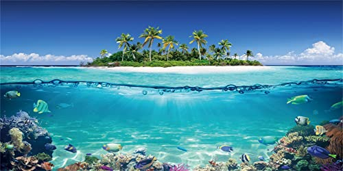 MIRRORANG 120x50cm Tropisches Aquarium Hintergrund Unterwasserfisch Strand Sonnenschein Unterwasserwelt Aquarium Hintergrund