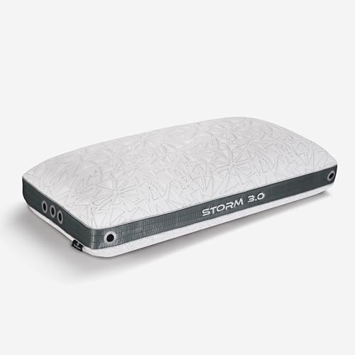 Bedgear Storm Performance Pillow 3.0 – Cooling Bed Pillow for Hot Sleepers, Medium Firm Support for All Sleep Positions – Dual-Sided Comfort, Breathable Air-X Mesh, Washable Ver-Tex Cover, 20” x 26”