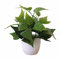 cfpqv Künstliche Pflanzen im Topf, künstliche Pflanzen im Topf, grüner Bonsai mit weißem rundem Topf für Büro, Zuhause, Küche, Tisch, Innendekoration Glashalme Mit (Green, One Size)