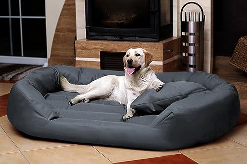tierlando® Hundebett Sammy Komfort mit herausnehmbarer 4-Kammer-Matratze und hohem Rand aus Polyester 600D für große und schwere Hunde Größe: 140x105cm | Farbe: 06 Grau