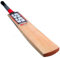 SS R7 Kaschmir Willow Cricket Bat Standard Größe