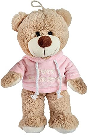 VRasehorn Plüsch Bär mit Kapuzenpulli Gute Besserung ca. 32 cm Pulli Pink/Rosa, Plüschtiere Kuscheltier Kuschelbegleiter Teddybär