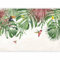 murando - Papier Peint Panoramique Adhésif Nature 343x256 cm - Murale Autocollante - Vert marron - Monstera perroquets tuakny animaux nature feuilles jungle colibris oiseaux b-C-10068-a-c