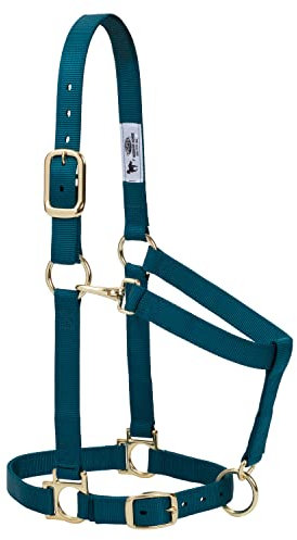 Weaver Leather Unisex-Erwachsene Basic ADJ Durchschnitt HLTR, TE Halfter, Petrol, Average Horse