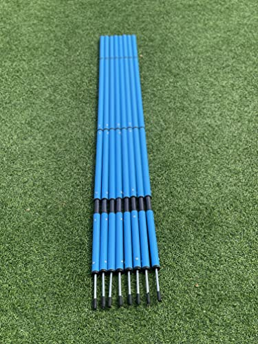 Generisch 8er Set Slalomstangen inkl. Tragetasche Slalomstangen 180cm, Slalomstangen Fussball, Slalomstangen Hund, Fussball Slalomstangen, Slalomstange für Fitness, Athletik, Koordination & Agilität