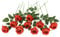 JUSTOYOU, 10 rose artificiali marroni, bouquet realistico, rose finte a stelo singolo, per casa, feste, matrimoni, bouquet (arancione bruciato)