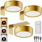 Luce per Quadri Senza Fili con Telecomando, Oro 2600mAh Faretti LED Ricaricabili USB per Quadri Lampada Applique Quadro Luci da Parete Interno a Batteria Luce Muro per Esposizione Pittura Vetrina