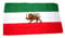 Flagge Fahne Iran Royal Löwe 30 x 45 cm FLAGGENMAE®