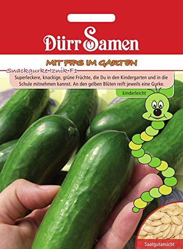 Snackgurke Iznik F1 (Kindersorte)