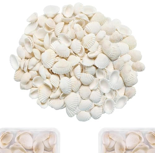 Nurila 40 Stück Muscheln, Weiß Muscheln zum Basteln, 2 cm Muscheln Deko, Muschel Deko für DIY Kunsthandwerk, Vase Füllstoffe, Fisch Panzer, DIY Armbandschmuck, Home Decoration