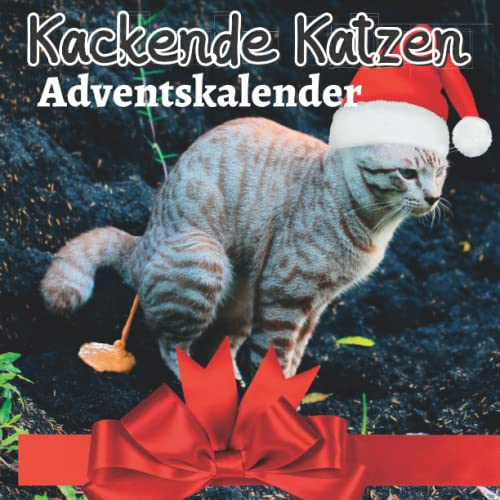 Adventskalender: Kackende Katzen