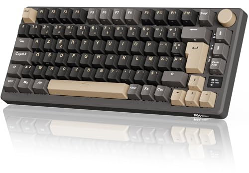 RK ROYAL KLUDGE M75 Clavier Mécanique sans Fil, Azerty BT5.0/2.4G/USB-C Compact 75% Clavier Gamer Mécanique avec écran Intelligent OLED et Bouton Rétroéclairage RVB, Interrupteur Rouge, Grey