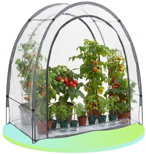Ideoon Robustes Foliengewächshaus und Überwinterungszelt, 175x186x84 cm: EIN Pflanzenschutz für optimale Ernte & frostfreie Pflege (Hochwertiges Modell 2026)