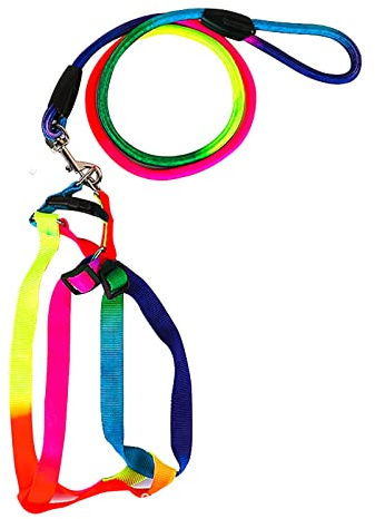 TAHUAON Hundegeschirr und Leine, Set, verstellbar, kein Ziehen, Nylon, Haustiergeschirr mit Leine, Halsband für Outdoor-Spaziergänge für Hunde, Regenbogen-Hundegeschirr, Größe M (geeignet für 0,5–3
