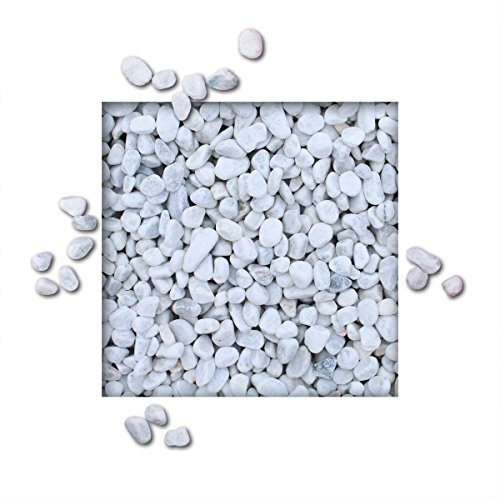 Kieskönig 5 kg Marmorkies Carrara Weiss Verschiedene Körnungen direkt Körnung 15/25 mm