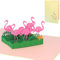 LINPOPUP® Pop-Up Karte Geburtstag - 3D Geburtstagskarte mit Umschlag als Gutschein, Geldkarte, Geburtstagskarte, Flamingo, Gutscheinkarte Zoo, Einschulungskarte für Mädchen, N289