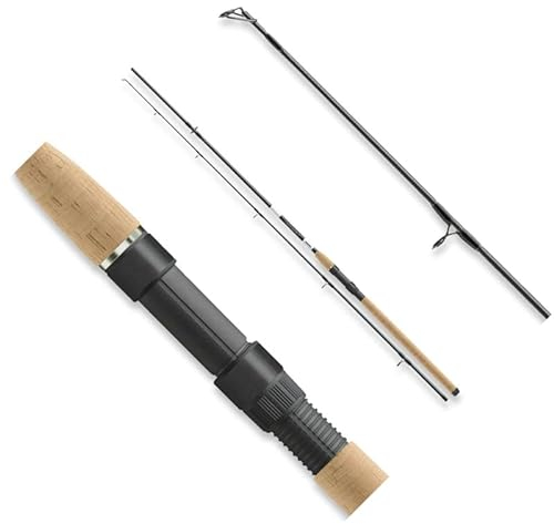 Cormoran Black Master Jiggerspin 2tlg. 8-35g 2.70m