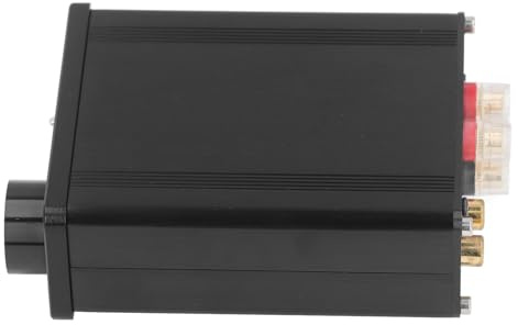 Yctze Digitaler Leistungsverstärker 100 W X 2 Klasse D Zweikanal mit High-End-Kondensatoren für Klare Klangausgabe