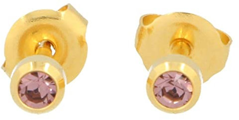 Orecchini(primo), acciaio chirurgico, sterile, orecchini con pietra (lilla placcato oro)