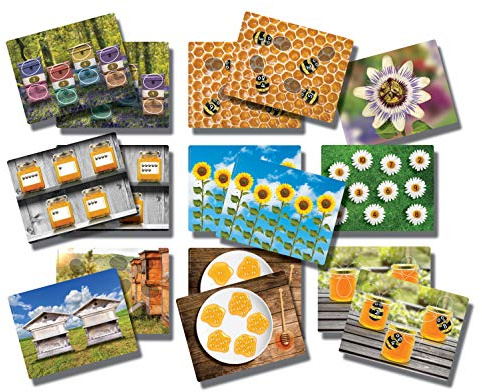 Yellow Door Honey Bee Early Number Card Set | Number Sense |Bees Number Bonds | Maths for ages 2 3 4 5 |Addition Subtraction |Subitising | Early Educational Toys for Counting 1-10 | Sequences Numerals