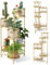 COSTWAY Porta Piante da Interno Pieghevole, Scaffale per Piante e Fiori in Metallo a 6 Livelli,Porta Vasi Salvaspazio da Balcone e Salotto, 41 x 39 x 82 cm (Oro)