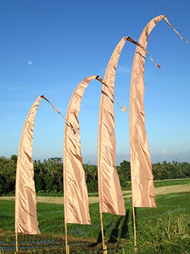 Asiastyle Bali-Fahne, Champagner (BF-05), 4 Meter