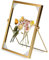 agctrler Gold Doppelglas Bilderrahmen 15 X 20 cm, Glasbilderrahmen Glasrahmen für Gepresste Blumen, Metall Fotorahmen mit Glas für Foto für Festival, Hochzeit, Home Decoration