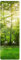 Bilderwelten Garderobe Wald 105cm x 34cm Bäume Wald Natur Motiv Modern Garderobenhaken Garderobenpaneel Flurgarderobe Flur-Möbel Wandgarderobe Holz