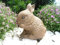 STEINFIGUREN SPICKER Steinfigur Hase Zwergkaninchen, 104/2 Gartenfigur Steinguss Tierfigur Braun Patina